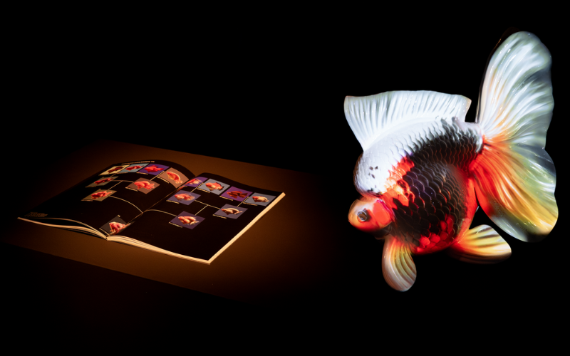 Jiha Jeon exhibition